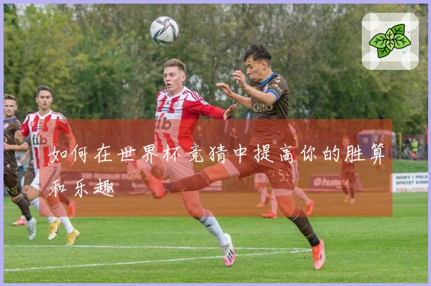 如何在世界杯竞猜中提高你的胜算和乐趣
