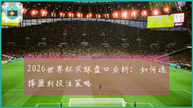 2026世界杯买球盘口分析：如何选择盈利投注策略