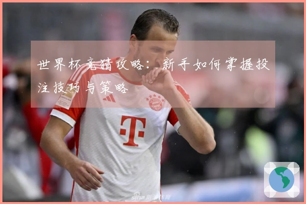 世界杯竞猜攻略：新手如何掌握投注技巧与策略