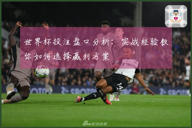 世界杯投注盘口分析：实战经验教你如何选择赢利方案