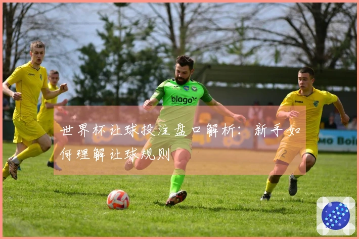 世界杯让球投注盘口解析：新手如何理解让球规则