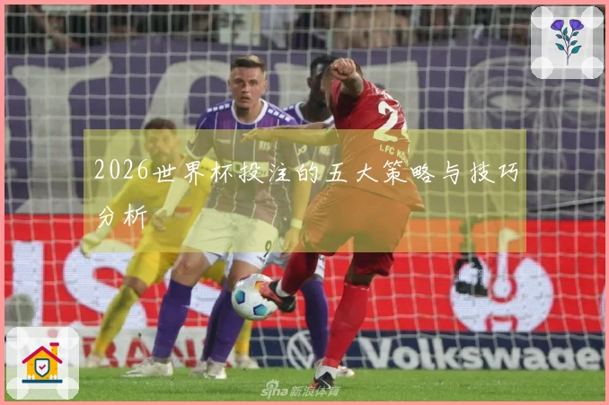 2026世界杯投注的五大策略与技巧分析